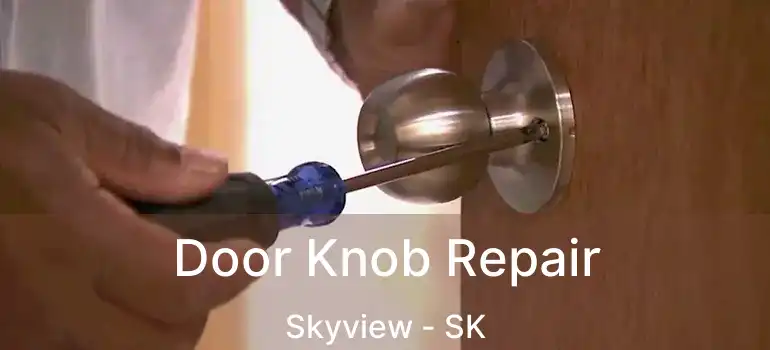 Door Knob Repair Skyview - SK