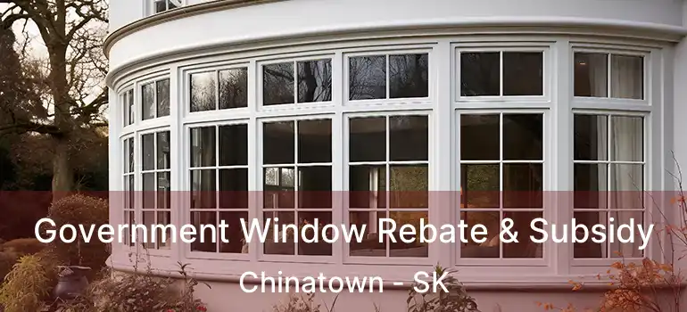 Government Window Rebate & Subsidy Chinatown - SK