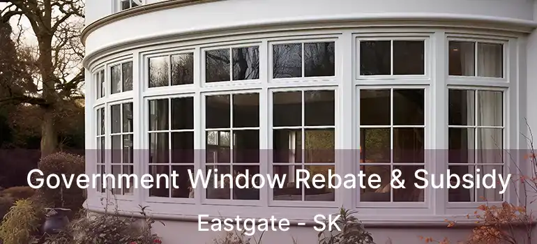 Government Window Rebate & Subsidy Eastgate - SK