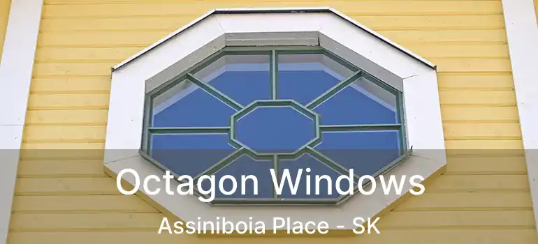 Octagon Windows Assiniboia Place - SK