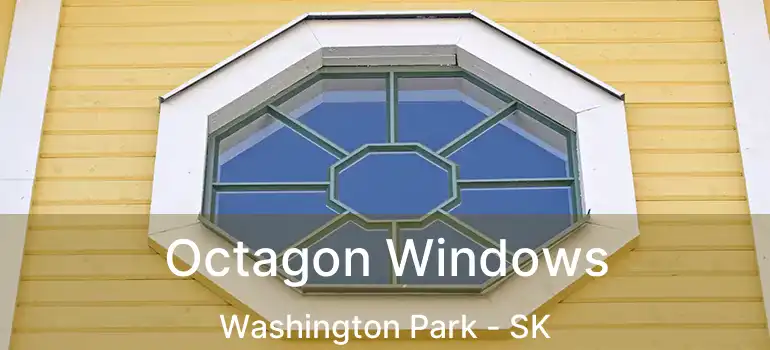Octagon Windows Washington Park - SK