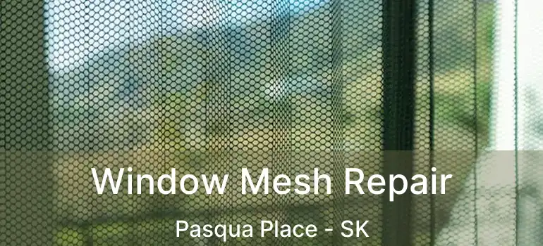 Window Mesh Repair Pasqua Place - SK